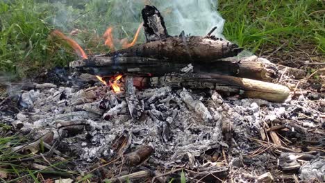 Ein-Kleines,-Rauchiges-Lagerfeuer-Aus-Nächster-Nähe-An-Einem-Hellen-Sommertag