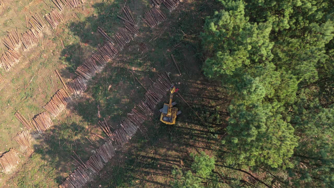 Aerial view of deforestation showing felled trees and a machine cutting down log in a forested area.