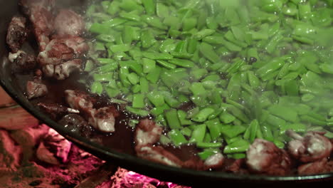 spanish dish of green bean and chicken