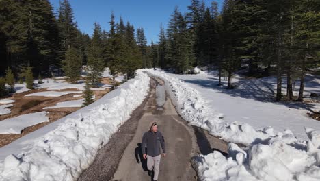 Hombre-De-Trekking-En-El-Bosque-Bajo-La-Nieve