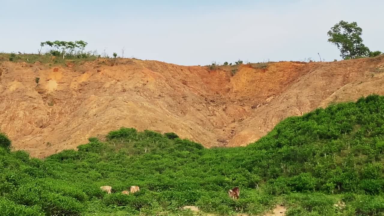 Deforestasi dan penebangan bukit menyebabkan erosi tanah