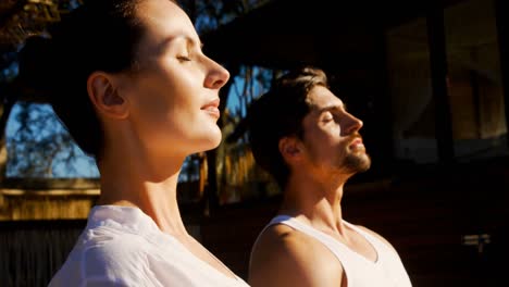 couple doing meditation at safari vacation 4k