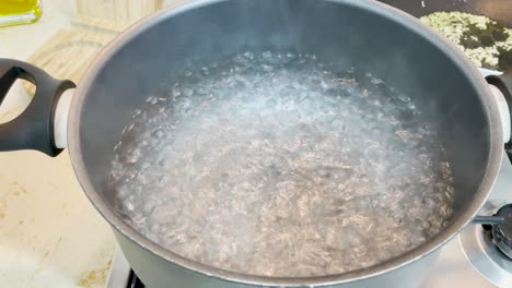 boiling water on a pot and braised onion for a home made meal