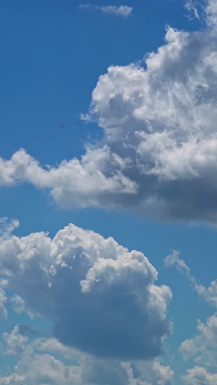 Bird flying under large clouds in a blue sky during daytime