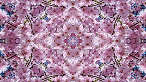 seamless pattern.moving kaleidoscope background.