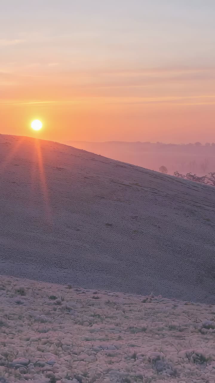 Vertical video: Panning camera capturing frosted hillside at sunrise, revealing mist and shrub