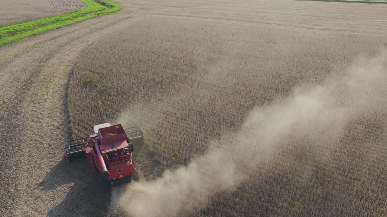 Soybean Harvest. Soybean is a species of legume. Soy is a staple crop, the world's most grown legume, and an important animal feed. Soy is a key source of food for its protein and oil content