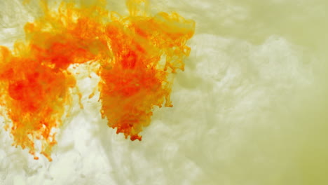 yellow and orange paint or dye dropped into water against white background to create swirling colourful smoke background