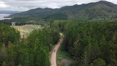 Car-driving-through-forest-road