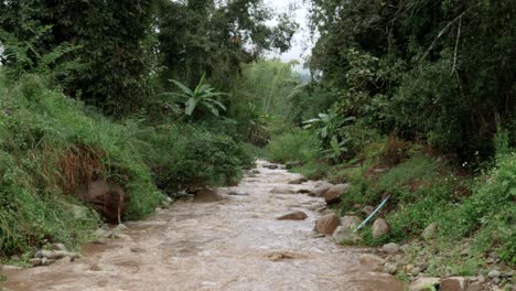 Río-Que-Fluye-Rápidamente-A-Través-De-Un-Terreno-Rocoso-Exuberante-Selva-Verde-árboles-Densos