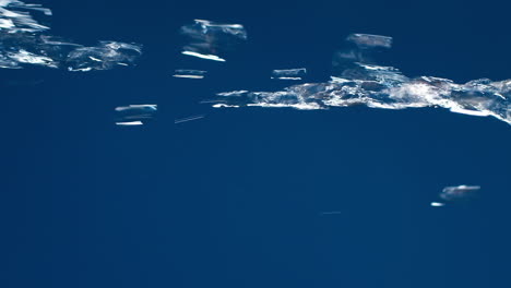 Vertikal-Von-Echtem-Reinem-Wasser,-Das-Nach-Unten-Fließt-Und-Auf-Blauem-Hintergrund-In-Zeitlupe-Spritzt