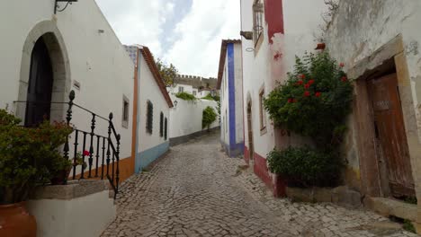 flores que crecen en las macetas que se colocan en una de las muchas calles del castillo de óbidos