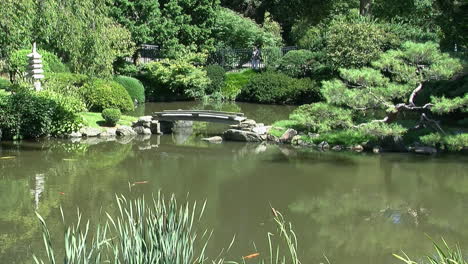 pond with footbridge and pagoda in a japanese garden