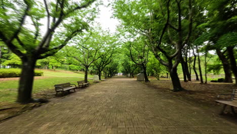 4k-Shot-of-trees-and-path-from-the-Kasai-Rinkai-Park-in-the-city-of-Tokyo,-Japan