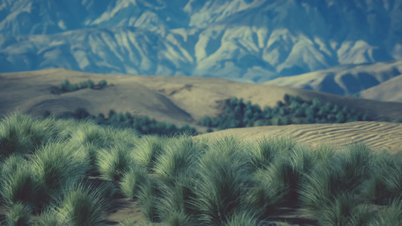 paisaje desértico con montañas y hierba