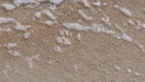 waves gently washing over sandy beach