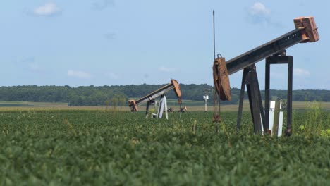 oil jacks both stationary and and working help midwest farmers beat the current fuel crisis in america