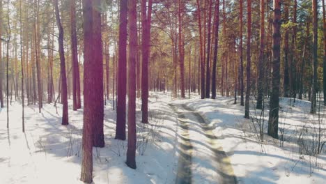 Movimiento-A-Lo-Largo-Del-Rastro-Del-Coche-Sucio-Sobre-La-Nieve-Tirada-En-El-Suelo-Del-Bosque