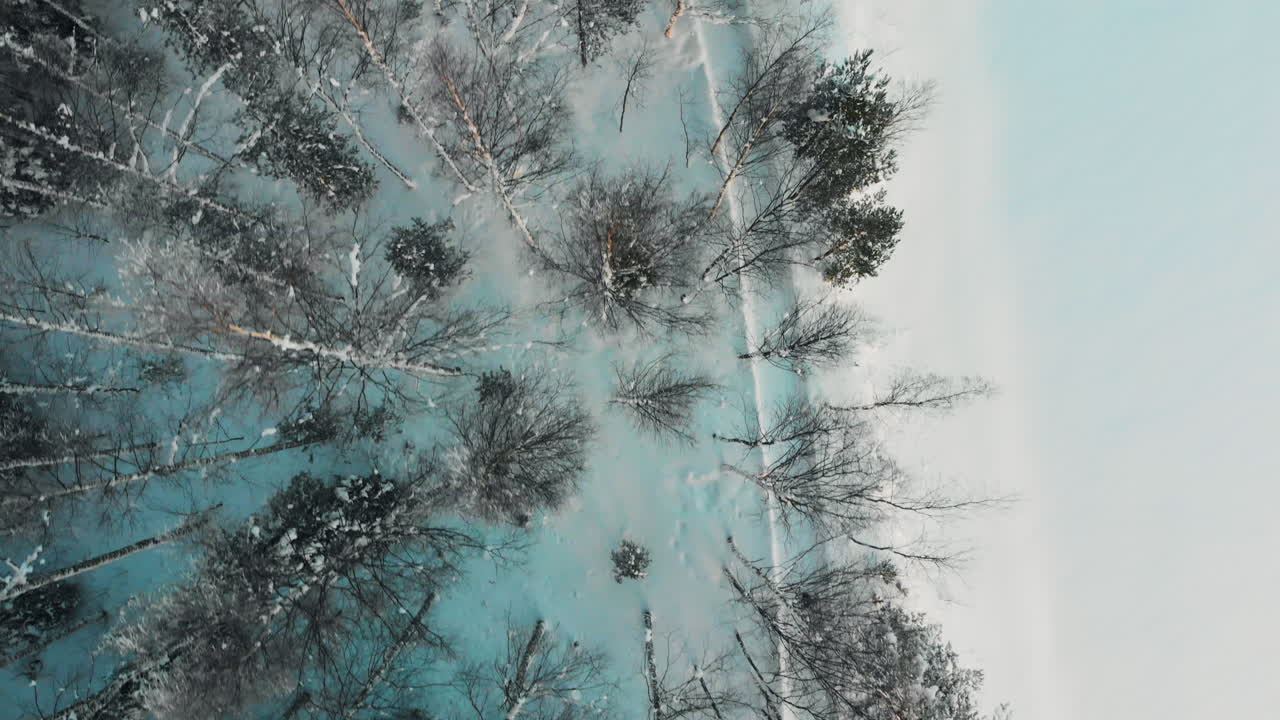 Aerial, birdseye, drone shot, over a road, between leafless forest and the frozen, river shore, on a sunny, winter evening, in Utra, Joensuu, Pohjois-Karjala, Finland