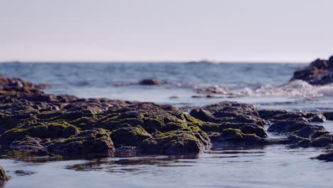 shore detail and calm sea waves in slow motion