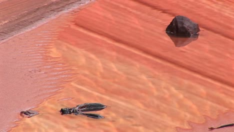 Mittlere-Aufnahme-Von-Hitzewellen,-Die-Auf-Sand-Und-Steinen-Im-Death-Valley-Kalifornien-Schimmern