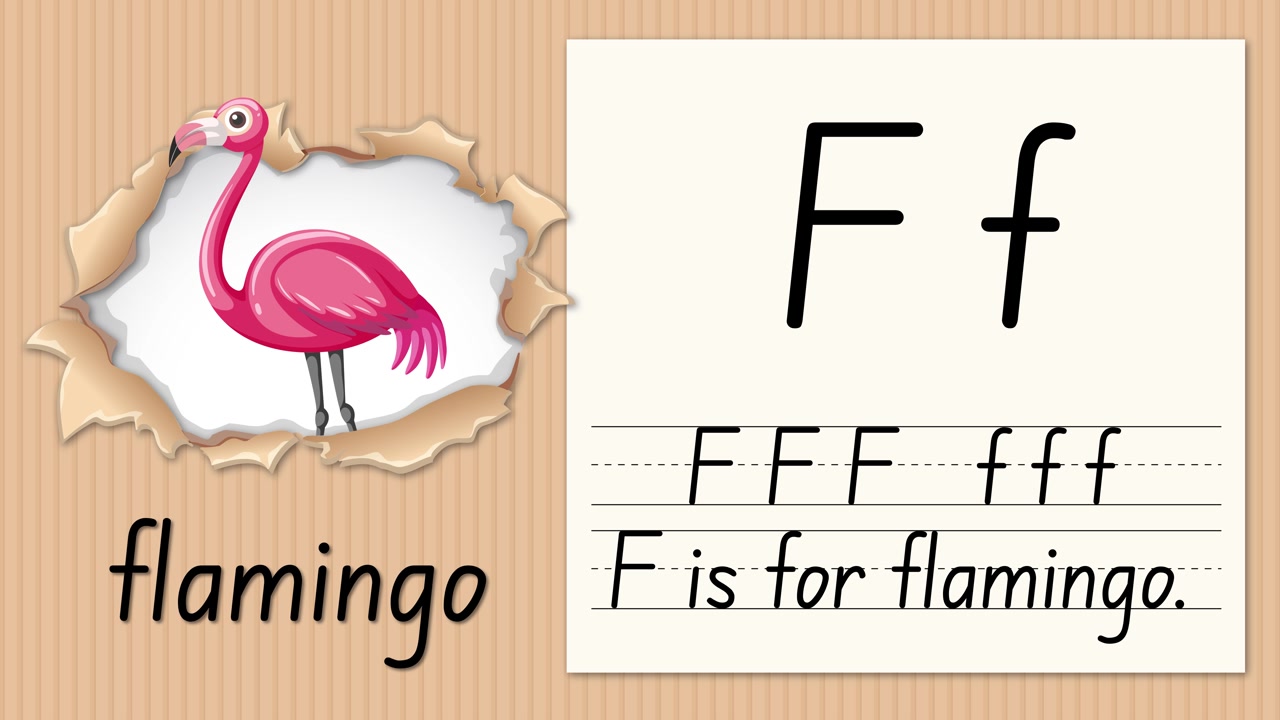 Video educativo animato che insegna la lettera F usando un'illustrazione di un fenicottero rosa e linee per la pratica della scrittura a mano