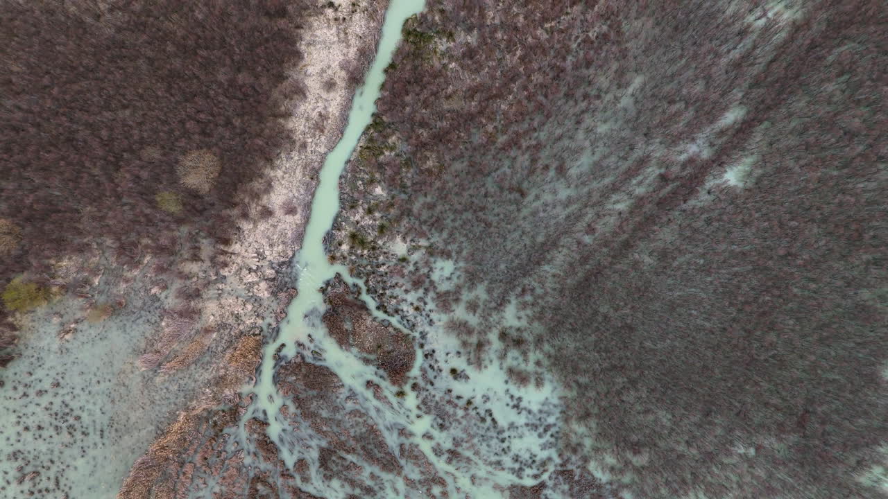 Branching Floodwaters Cutting Through a Saturated Woodland from Above