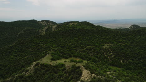 üppiger-Hügelkamm-Mit-Dichter-Buschvegetation-In-Vashlovani,-Georgia