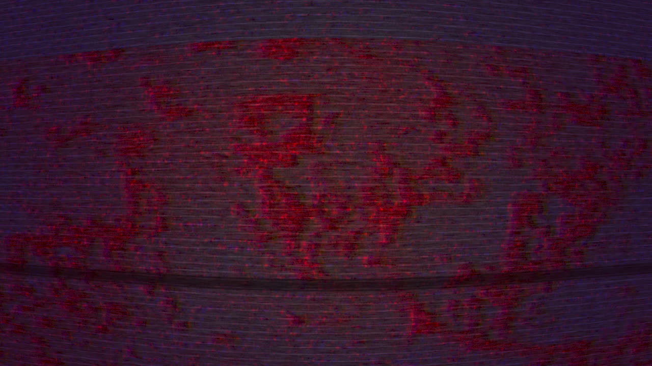 fondo de salpicaduras de pintura colorido para diseño web o proyectos creativos