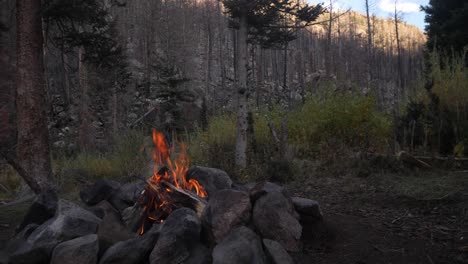 wide angle shot of campfire with dense forest in background