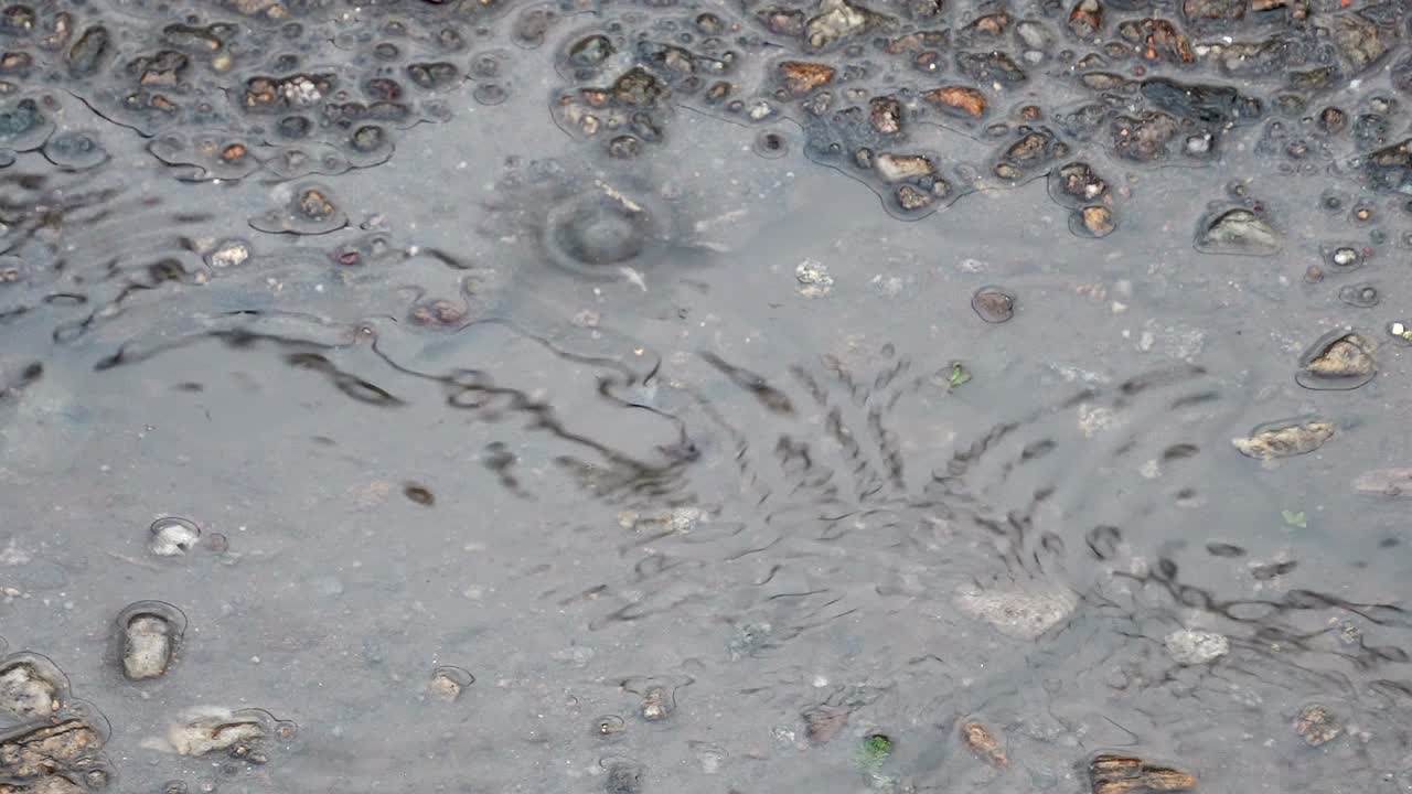 Closeup of light rain on asphalt puddle surface