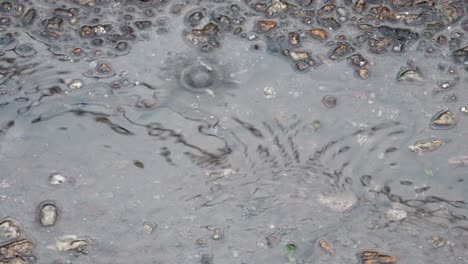 closeup of light rain on asphalt puddle surface