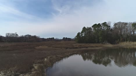 drone flight low over part of the marsh in bennetts creek in suffolk virginia, showing the vegetation