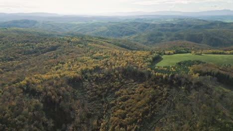 Drone-slowly-rises-up-over-sunny-autumn-forest