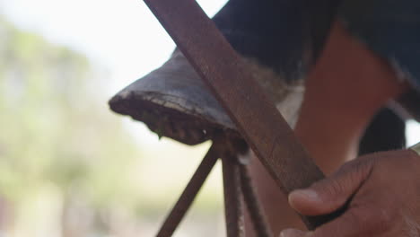 Cowboy-filing-horses-hoof-preparing-for-horseshoe