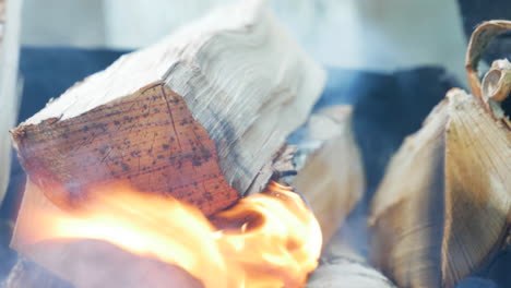 Powerful-flame-taking-over-birch-log-in-garden-barbecue,-close-up-view