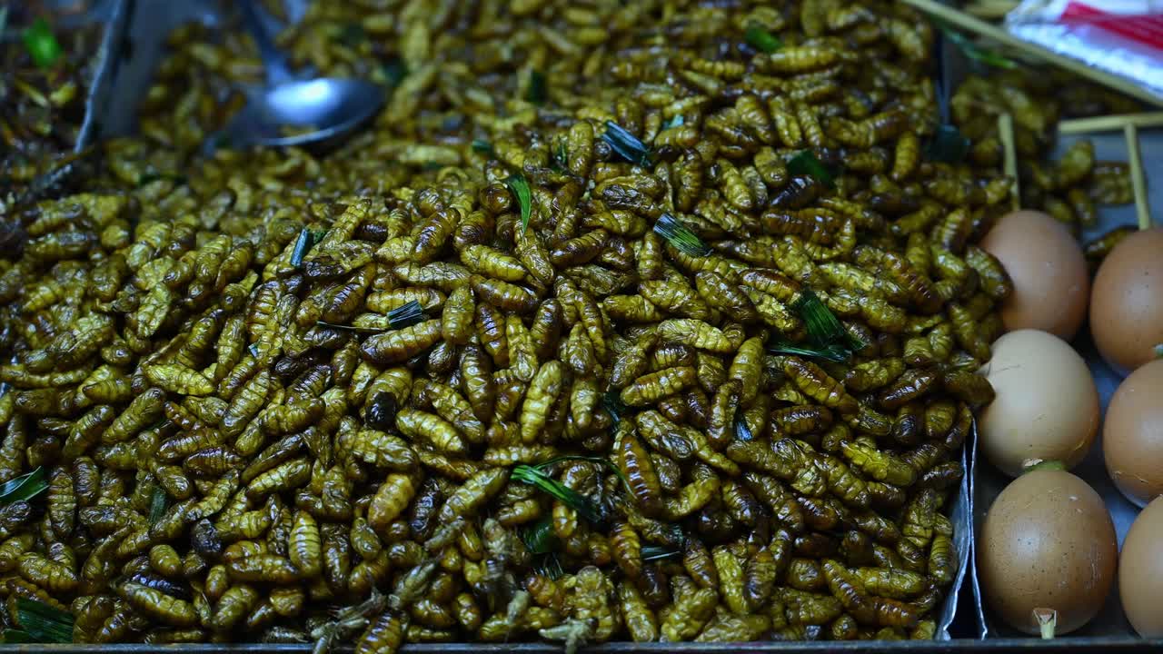 Pupe di baco da seta fritte, Tua Mai Tod, cibo di strada in Thailandia.