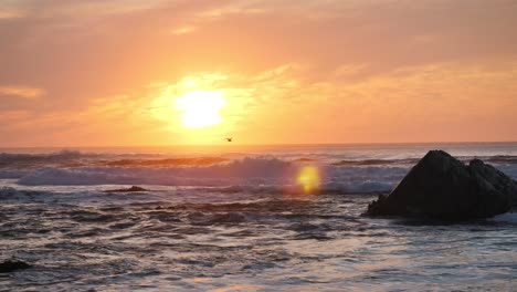 birds flying in the ocean with a beautiful sunset.