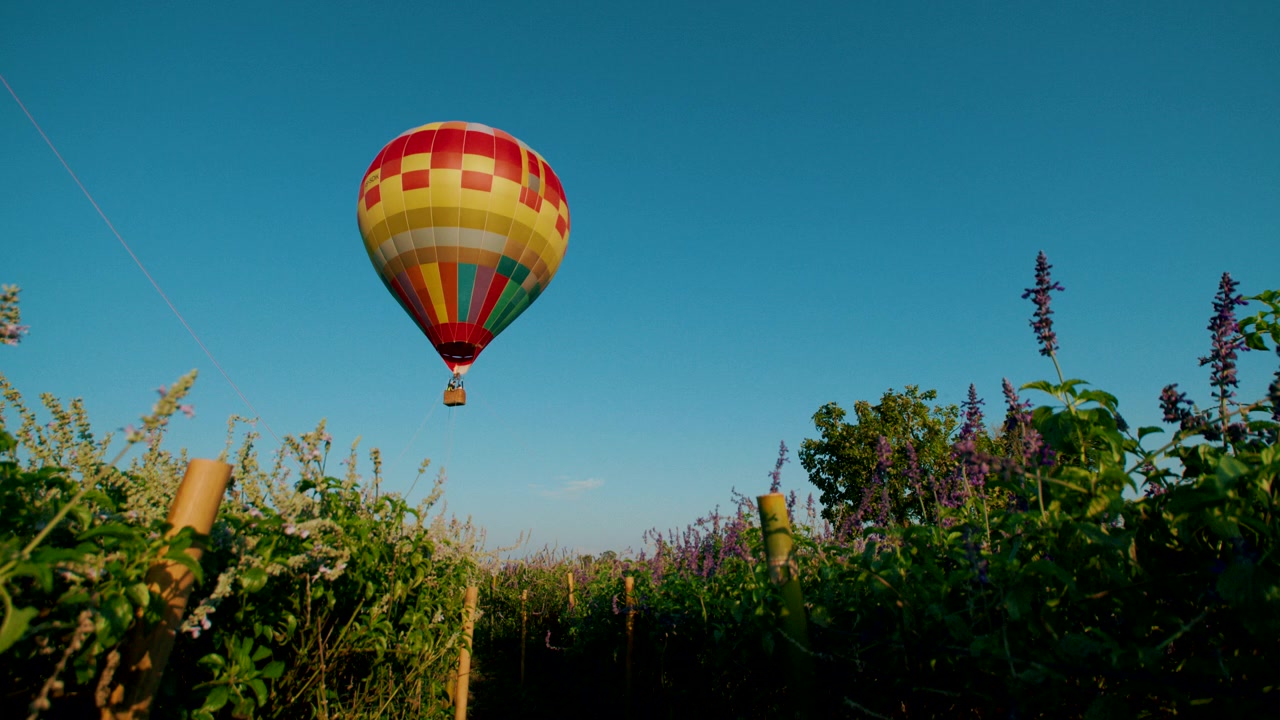 Colorful Hot Air Balloon Floating Above a Garden
