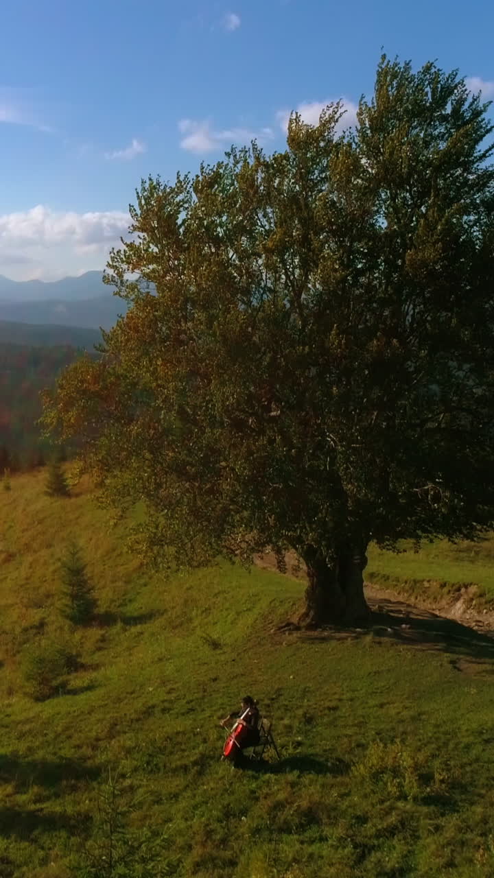 Amazing green nature in the mountains in the morning. Musician performing music on hill among wild nature. Fresh scenery in summer. Vertical video