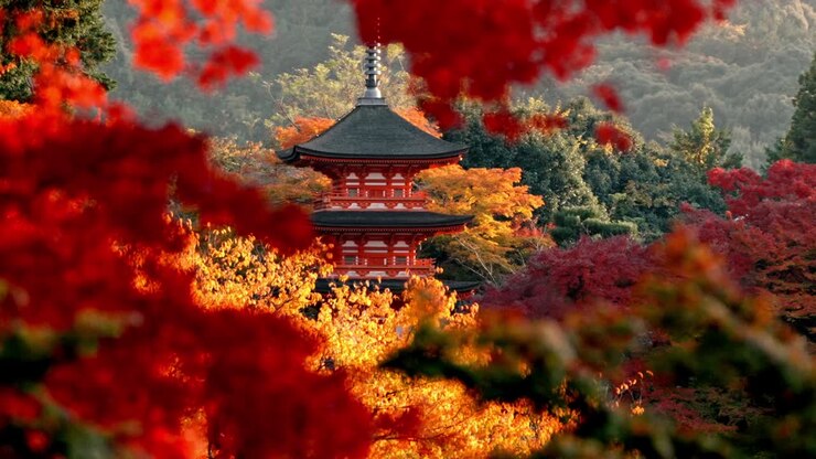 The iconic pagoda of Kiyomizu-dera in Kyoto, Japan, stands elegantly amidst a breathtaking display of red and yellow autumn foliage.