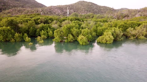 aerial footage panning across mangroves over still water at sunset