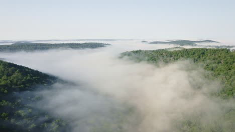 aerial drone flying forward and low through green summer forest as warm, white morning fog flows through the valley below in pennsylvania