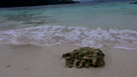 tropical island beach scene with waves and coral