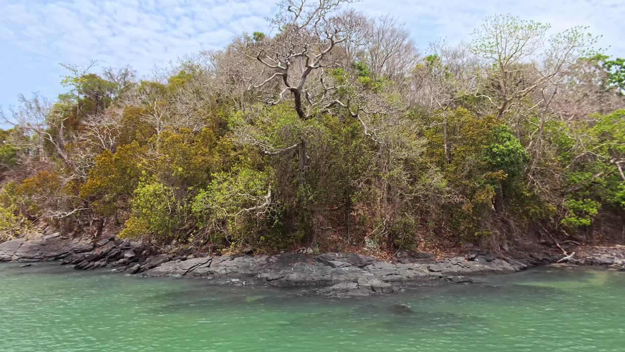 Coastal Island Landscape with Lush Vegetation and Rocky Shoreline