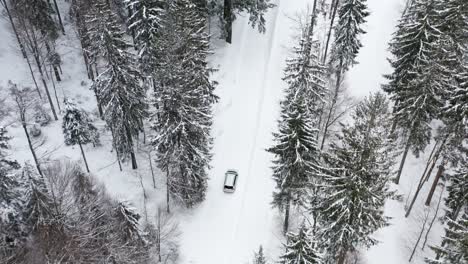 white car drives over snow-covered road in forest on the edge of ski area with a group of skiers