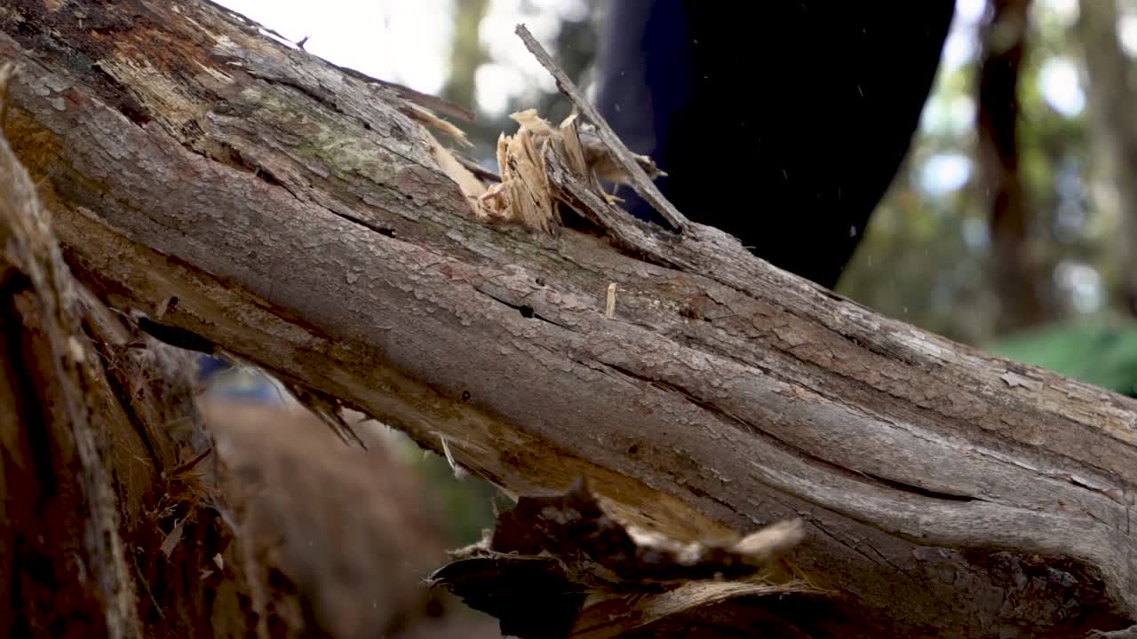 SLOWMO of man chopping log with small axe