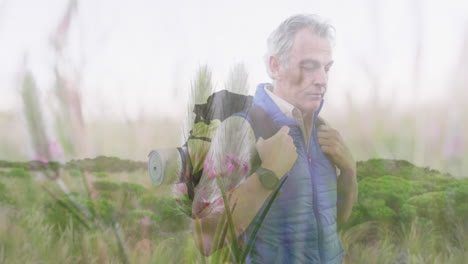 feliz hombre caucásico de edad avanzada caminando en el campo sobre plantas silvestres