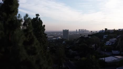 Luftwagen-Schoss-An-Einem-Baum-Vorbei,-Um-Die-Skyline-Der-Stadt-Im-Späten-Nachmittagslicht-Zu-Enthüllen