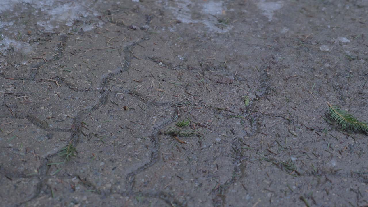 스노우볼이 땅에 부히고 브레이크가 떨어집니다.